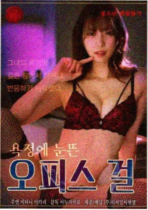 日韩欧美高清视频 日韩剧集《汉江第七码头》高清封面